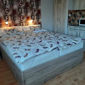 Apartament Elit
